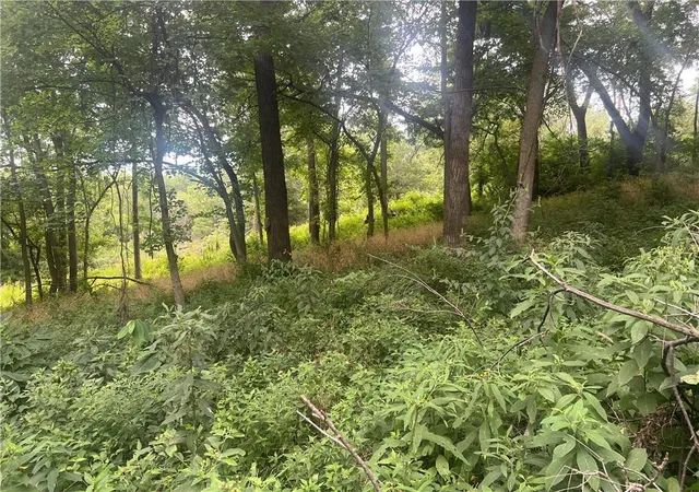 Photo 2 of Land for sale at 11806 E Lexington Ave, Sugar Creek, MO 64054 | MLS# 2638069 | Listing updated on 2026-09-14