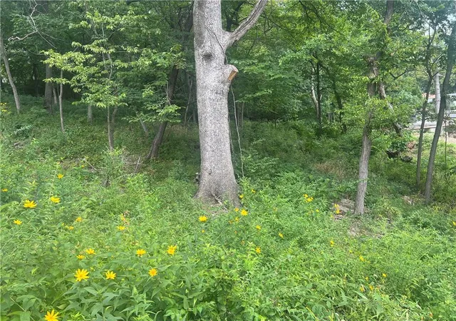 Photo 3 of Land for sale at 11806 E Lexington Ave, Sugar Creek, MO 64054 | MLS# 2638069 | Listing updated on 2026-09-14