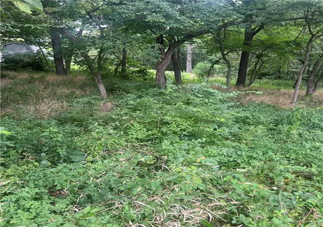 Photo 3 of Land for sale at 11806 E Lexington Ave, Sugar Creek, MO 64054 | MLS# 2638069 | Listing updated on 2026-09-14