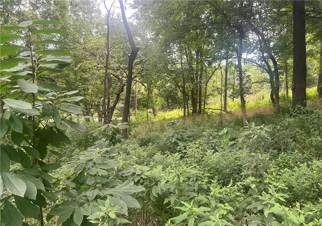 Photo 4 of Land for sale at 11806 E Lexington Ave, Sugar Creek, MO 64054 | MLS# 2638069 | Listing updated on 2026-09-14