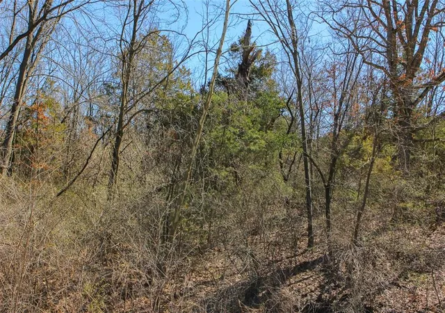 Photo 3 of Land for sale at N Dometrorch Rd, Rocheport, MO 65279 | MLS# 2639198 | Listing updated on 2026-09-14
