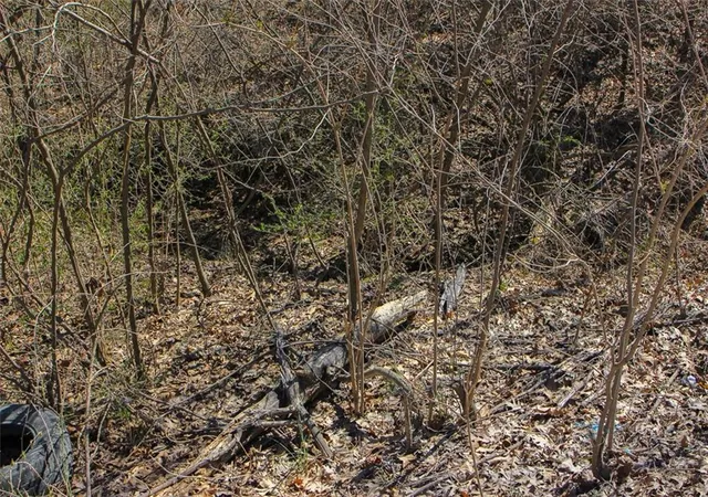 Photo 4 of Land for sale at N Dometrorch Rd, Rocheport, MO 65279 | MLS# 2639198 | Listing updated on 2026-09-14