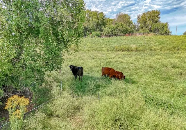 Photo 3 of Land for sale at NW 1801st Road, Kingsville, MO 64061 | MLS# 2641398 | Listing updated on 2026-09-25