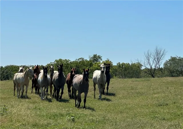 Photo 4 of Land for sale at 4 State Route D, Savannah, MO 64485 | MLS# 2641919 | Listing updated on 2026-09-14