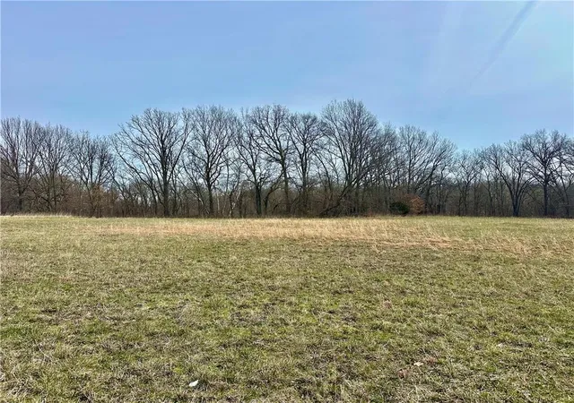 Photo 2 of Sale Pending at Nw 401 Road, Chilhowee, MO 64733 | MLS# 2642074 | Listing updated on 2026-10-09