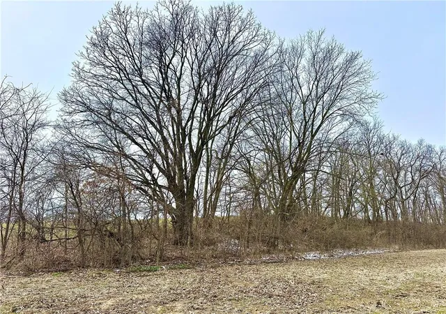 Photo 3 of Sale Pending at NW 401 Road, Chilhowee, MO 64733 | MLS# 2642074 | Listing updated on 2026-10-09