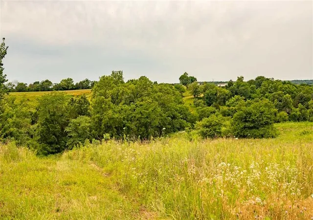 Photo 4 of Land for sale at Z Hwy, Reger, MO 63556 | MLS# 2642288 | Listing updated on 2026-09-15