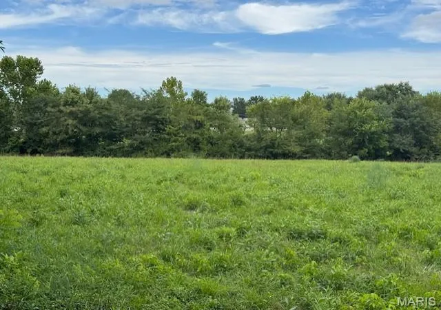 Photo 4 of Land for sale at 532 Home Dr, Saint James, MO 65559 | MLS# MIS25058065 | Listing updated on 2026-09-30