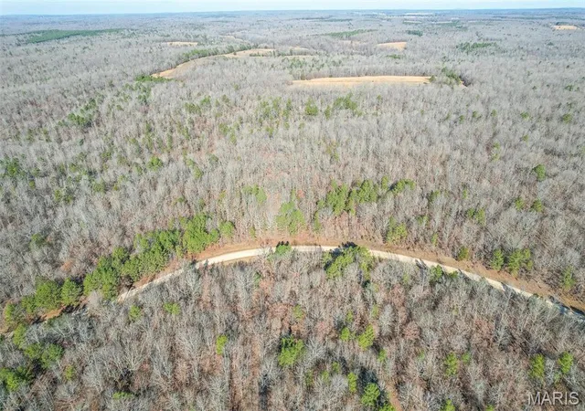 Photo 1 of Land for sale at 0 Ripley Bb 2, Grandin, MO 63943 | MLS# MIS25059837 | Listing updated on 2026-09-11