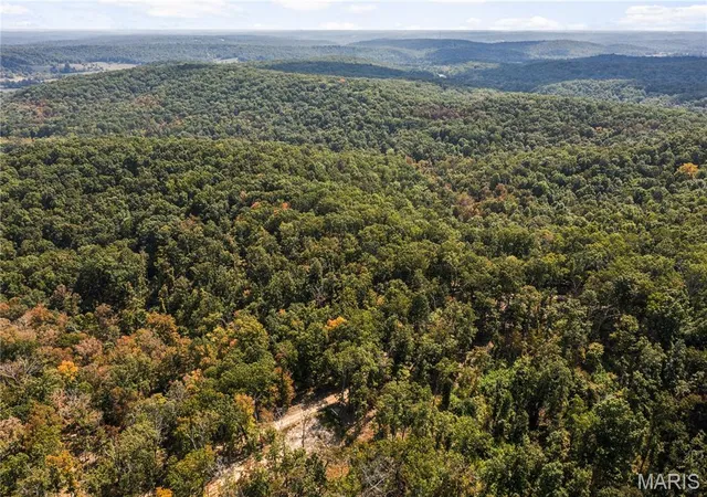 Photo 2 of Land for sale at 0 Bcr 300, Marble Hill, MO 63764 | MLS# MIS25064974 | Listing updated on 2026-09-14