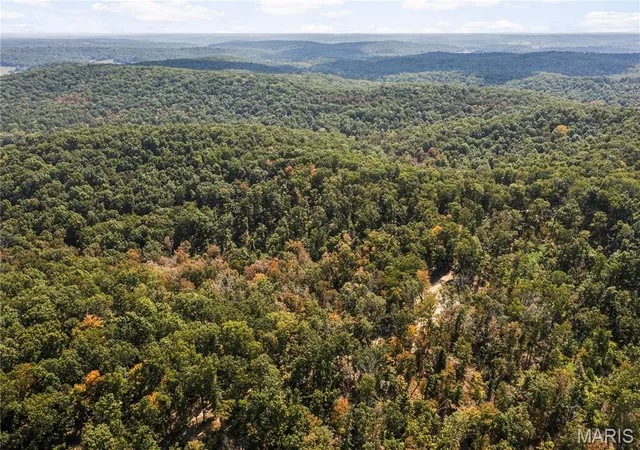 Photo 3 of Land for sale at 0 Bcr 300, Marble Hill, MO 63764 | MLS# MIS25064974 | Listing updated on 2026-09-14
