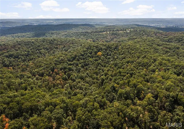 Photo 3 of Land for sale at 0 Bcr 300, Marble Hill, MO 63764 | MLS# MIS25064974 | Listing updated on 2026-09-14