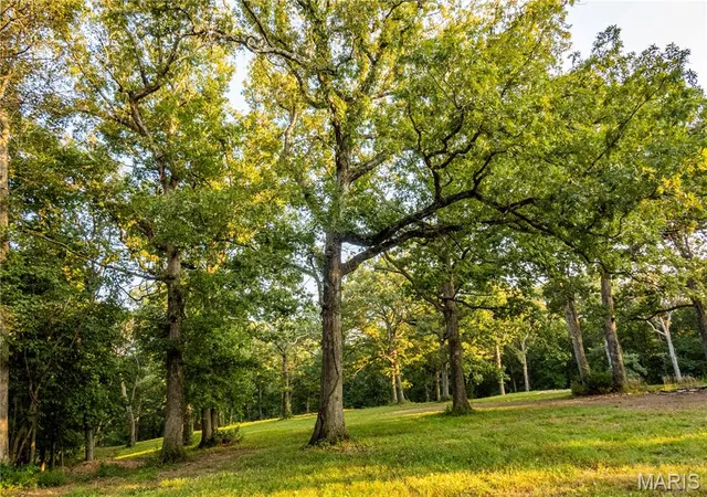Photo 2 of Land for sale at 21772 Hwy D   Tract 10 (144+/  Acres), Eolia, MO 63344 | MLS# MIS25073139 | Listing updated on 2026-09-11