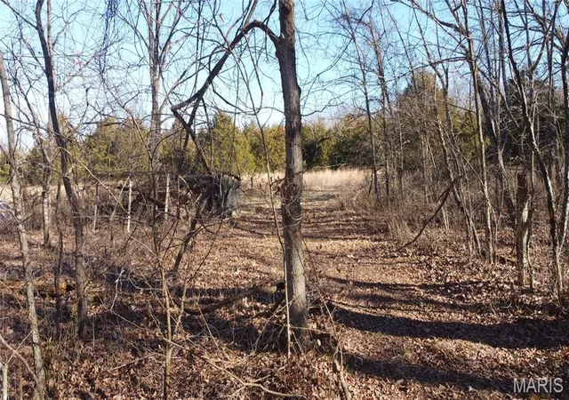 Photo 2 of Sale Pending at 10827 Scout Camp Rd, Bismarck, MO 63624 | MLS# MIS26004328 | Listing updated on 2026-09-10