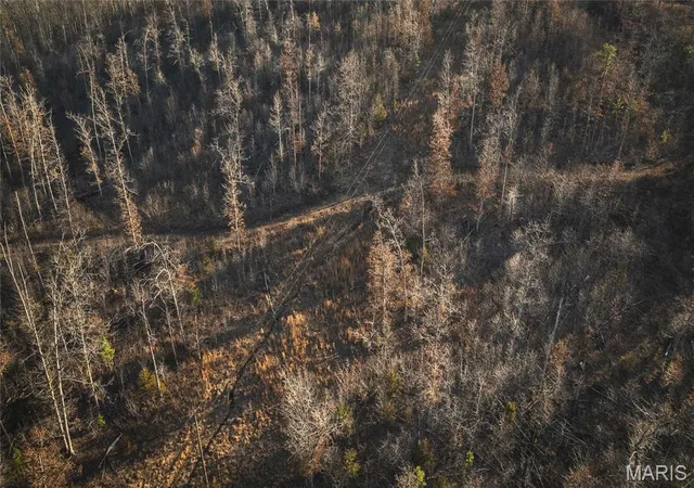Photo 3 of Sale Pending at 000 County Road 19-208 Tract 2, Eminence, MO 65446 | MLS# MIS26010159 | Listing updated on 2026-09-24
