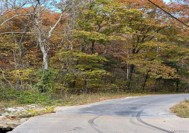 Photo 1 of Land for sale at 000 Mineral Dr Lot 1, Houston, MO 65483 | MLS# MIS26012103 | Listing updated on 2026-09-15