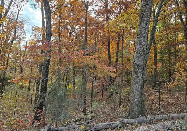 Photo 3 of Land for sale at 000 Mineral Dr Lot 1, Houston, MO 65483 | MLS# MIS26012103 | Listing updated on 2026-09-15