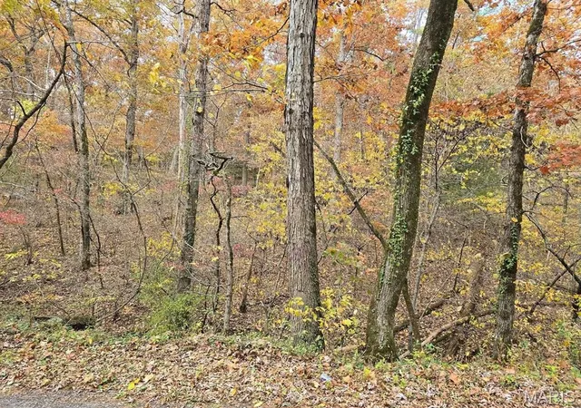 Photo 1 of Sale Pending at 000 Mineral Dr Lot 3, Houston, MO 65483 | MLS# MIS26012128 | Listing updated on 2026-09-15