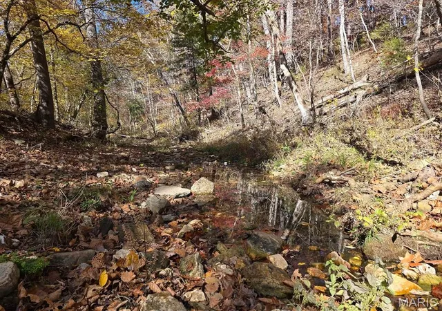 Photo 2 of Sale Pending at 000 Mineral Dr Lot 3, Houston, MO 65483 | MLS# MIS26012128 | Listing updated on 2026-09-15