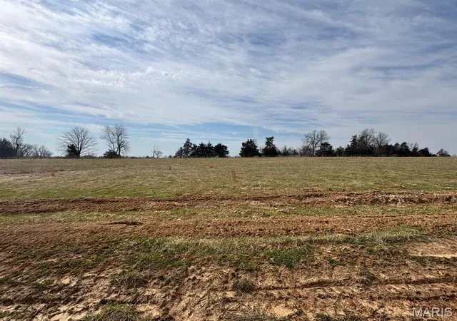 Photo 3 of Land for sale at 6 Turkey Roost Trl, Monroe City, MO 63456 | MLS# MIS26015289 | Listing updated on 2026-09-15