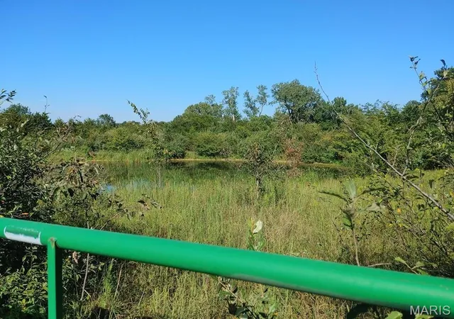 Photo 8 of Land for sale at 0 County Road, Huntsville, MO 65259 | MLS# MIS26022919 | Listing updated on 2026-09-14