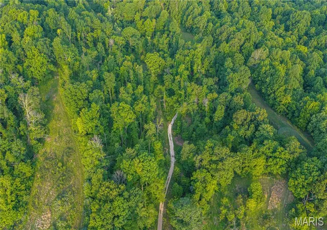 Photo 3 of Land for sale at 000 County Road 606, Cape Girardeau, MO 63701 | MLS# MIS26027905 | Listing updated on 2026-09-09