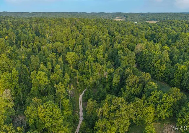 Photo 3 of Land for sale at 000 County Road 606, Cape Girardeau, MO 63701 | MLS# MIS26027905 | Listing updated on 2026-10-04