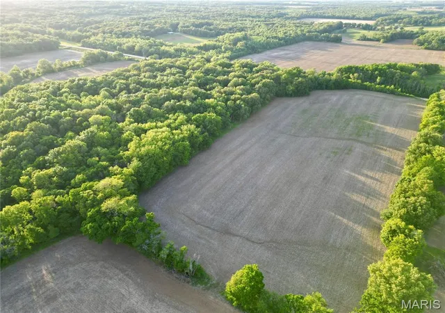 Photo 3 of Sale Pending at 00 Illinois Hwy 141, Omaha, IL 62871 | MLS# MIS26028846 | Listing updated on 2026-09-25