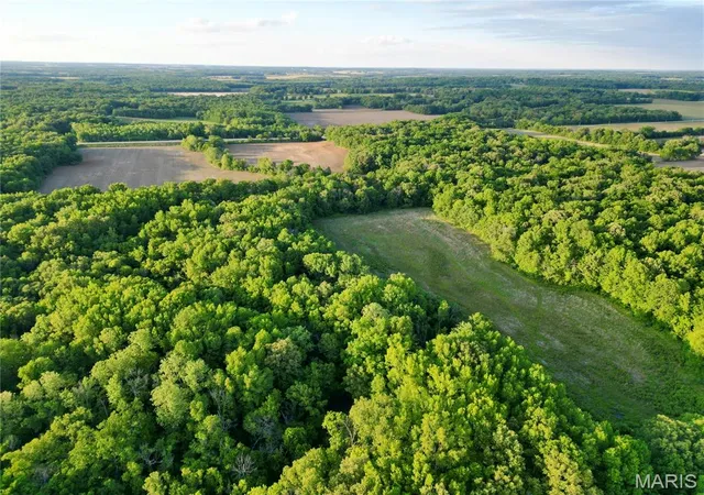 Photo 3 of Sale Pending at 00 Illinois Hwy 141, Omaha, IL 62871 | MLS# MIS26028846 | Listing updated on 2026-09-25