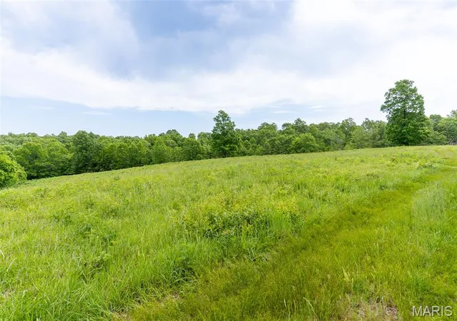 Photo 3 of Land for sale at 0 Top Ozark Road, Belgrade, MO 63622 | MLS# MIS26030693 | Listing updated on 2026-09-11