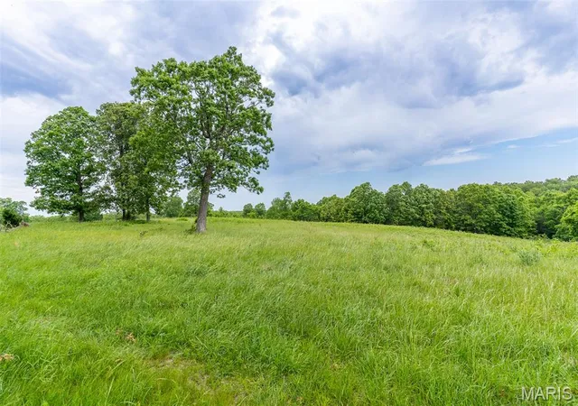 Photo 4 of House for sale at 0 Top Ozark Road, Belgrade, MO 63622 | MLS# MIS26030693 | Listing updated on 2026-09-11