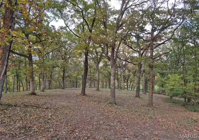 Photo 1 of Land for sale at 0 Hwy D   Tract 5a (14+/  Acres), Eolia, MO 63344 | MLS# MIS26036881 | Listing updated on 2026-09-11