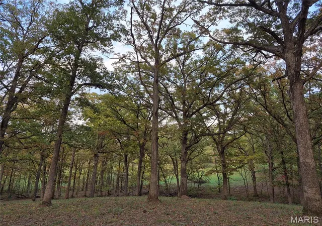 Photo 2 of Land for sale at 0 Hwy D   Tract 5a (14+/  Acres), Eolia, MO 63344 | MLS# MIS26036881 | Listing updated on 2026-09-11
