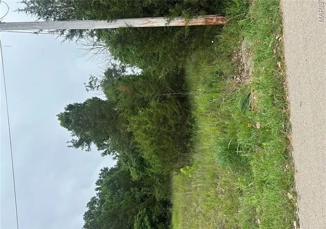Photo 3 of Land for sale at 00 Marseilles Dr, Bonne Terre, MO 63628 | MLS# MIS26039354 | Listing updated on 2026-09-28