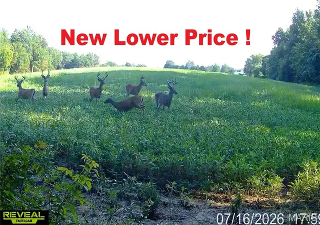 Photo 1 of Land for sale at 920 S Poplar Camp Rd, Makanda, IL 62958 | MLS# MIS26044073 | Listing updated on 2026-09-14