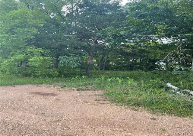 Photo 3 of Land for sale at 15639 State Hwy 185, Potosi, MO 63664 | MLS# MIS26045124 | Listing updated on 2026-09-10