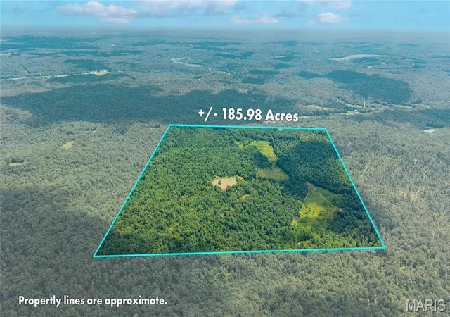 Photo 3 of Land for sale at 6499 Bcr 804 Bcr 804, Glenallen, MO 63751 | MLS# MIS26047260 | Listing updated on 2026-09-10