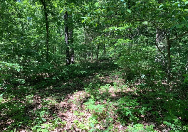 Photo 1 of Land for sale at 0 Pcr 842, Saint Mary, MO 63673 | MLS# MIS26051907 | Listing updated on 2026-09-22