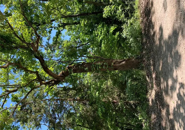 Photo 3 of Land for sale at 0 Pcr 842, Saint Mary, MO 63673 | MLS# MIS26051907 | Listing updated on 2026-09-22