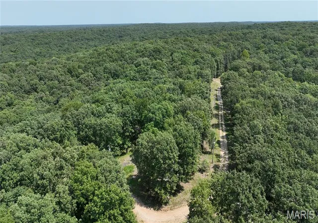 Photo 3 of Land for sale at 0 Dellwood Court, Lincoln, MO 65338 | MLS# MIS26052832 | Listing updated on 2026-09-12