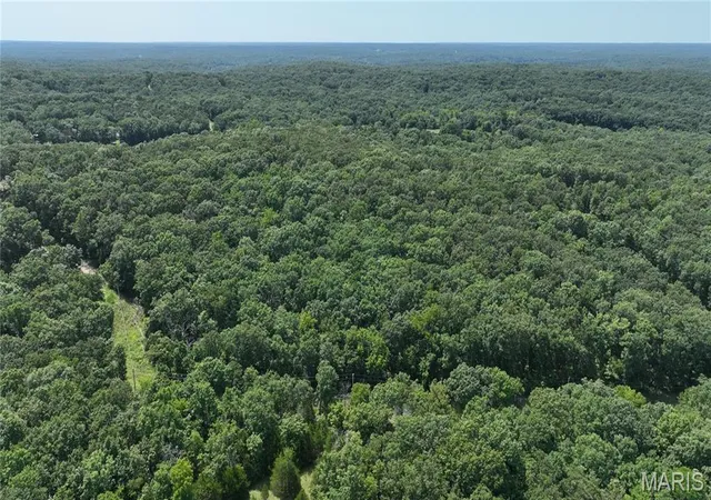 Photo 4 of Land for sale at 0 Dellwood Court, Lincoln, MO 65338 | MLS# MIS26052832 | Listing updated on 2026-10-07