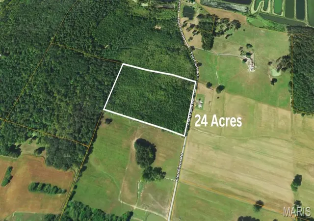 Photo 3 of Land for sale at 000 Fish Farm Rd, Golconda, IL 62938 | MLS# MIS26052951 | Listing updated on 2026-09-14