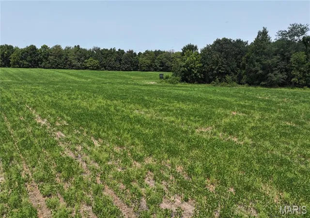 Photo 1 of Land for sale at 171 Hwy Jj, New Florence, MO 63363 | MLS# MIS26054034 | Listing updated on 2026-10-20