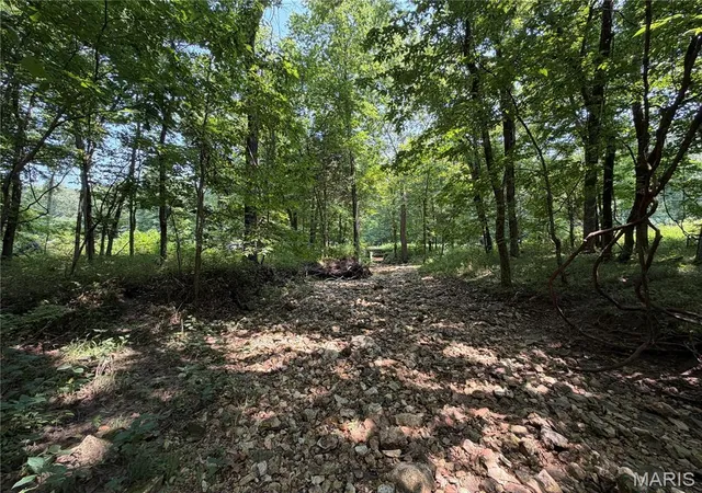 Photo 2 of Land for sale at 171 Hwy Jj, New Florence, MO 63363 | MLS# MIS26054034 | Listing updated on 2026-10-20
