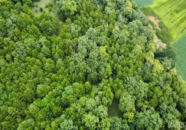 Photo 4 of Land for sale at 0 County Road 624, Linn, MO 65051 | MLS# MIS26054220 | Listing updated on 2026-10-08