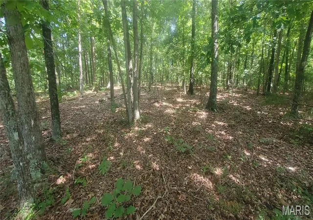 Photo 1 of Land for sale at (Undisclosed), Elk Creek, MO 65464 | MLS# MIS26054989 | Listing updated on 2026-09-11