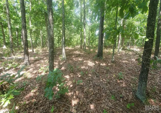 Photo 2 of Land for sale at (Undisclosed), Elk Creek, MO 65464 | MLS# MIS26054989 | Listing updated on 2026-09-11