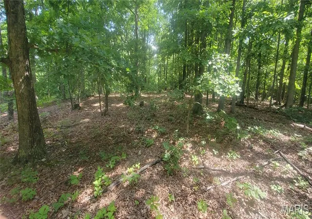 Photo 3 of Land for sale at (Undisclosed), Elk Creek, MO 65464 | MLS# MIS26054989 | Listing updated on 2026-09-11