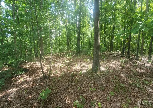 Photo 3 of Land for sale at (Undisclosed), Elk Creek, MO 65464 | MLS# MIS26054989 | Listing updated on 2026-09-11