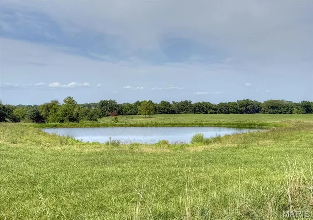 Photo 3 of Land for sale at 535 Ac M/l Pike 493, Bowling Green, MO 63334 | MLS# MIS26055179 | Listing updated on 2026-09-12